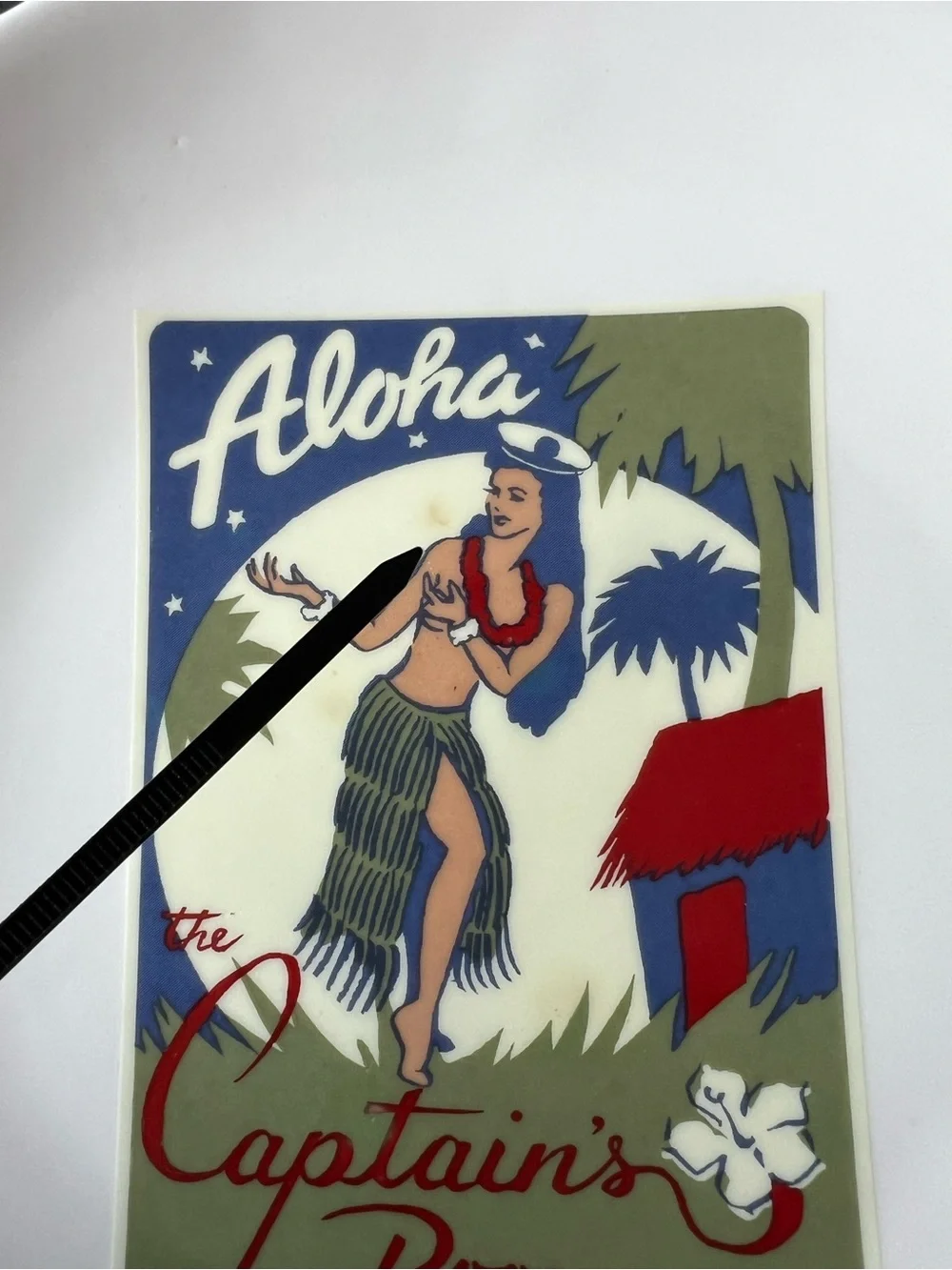Pottery Barn Set of 2 Aloha Girls Cocktail Recipe Plates 8